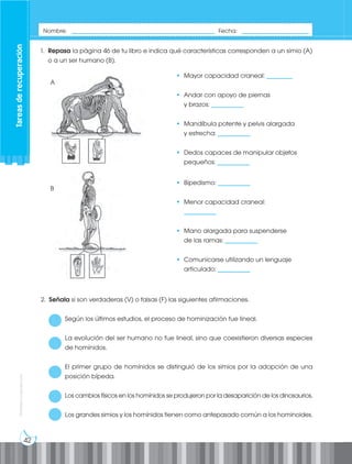 42
Prohibida
su
reproducción
1. Repasa la página 46 de tu libro e indica qué características corresponden a un simio (A)
o a un ser humano (B).
2. Señala si son verdaderas (V) o falsas (F) las siguientes afirmaciones.
Según los últimos estudios, el proceso de hominización fue lineal.
La evolución del ser humano no fue lineal, sino que coexistieron diversas especies
de homínidos.
El primer grupo de homínidos se distinguió de los simios por la adopción de una
posición bípeda.
Los cambios físicos en los homínidos se produjeron por la desaparición de los dinosaurios.
Los grandes simios y los homínidos tienen como antepasado común a los hominoides.
• Mayor capacidad craneal: ________
• Andar con apoyo de piernas
y brazos: __________
• Mandíbula potente y pelvis alargada
y estrecha: __________
• Dedos capaces de manipular objetos
pequeños: __________
• Bipedismo: __________
• Menor capacidad craneal:
__________
• Mano alargada para suspenderse
de las ramas: __________
• Comunicarse utilizando un lenguaje
articulado: __________
A
B
Nombre: _____________________________________________ Fecha: _____________________
Tareas
de
recuperación
 