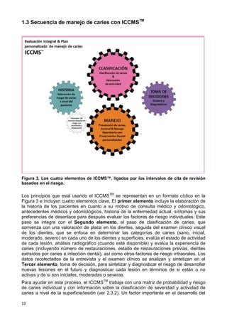 12
1.3 Secuencia de manejo de caries con ICCMSTM
Figura 3. Los cuatro elementos de ICCMS™, ligados por los intervalos de cita de revisión
basados en el riesgo.
Los principios que está usando el ICCMSTM
se representan en un formato cíclico en la
Figura 3 e incluyen cuatro elementos clave. El primer elemento incluye la elaboración de
la historia de los pacientes en cuanto a su motivo de consulta médico y odontológico,
antecedentes médicos y odontológicos, historia de la enfermedad actual, síntomas y sus
preferencias de desenlace para después evaluar los factores de riesgo individuales. Este
paso se integra con el Segundo elemento, el paso de clasificación de caries, que
comienza con una valoración de placa en los dientes, seguida del examen clínico visual
de los dientes, que se enfoca en determinar las categorías de caries (sano, inicial,
moderado, severo) en cada uno de los dientes y superficies, evalúa el estado de actividad
de cada lesión, análisis radiográfico (cuando esté disponible) y evalúa la experiencia de
caries (incluyendo número de restauraciones, estado de restauraciones previas, dientes
extraídos por caries e infección dental), así como otros factores de riesgo intraorales. Los
datos recolectados de la entrevista y el examen clínico se analizan y sintetizan en el
Tercer elemento, toma de decisión, para sintetizar y diagnosticar el riesgo de desarrollar
nuevas lesiones en el futuro y diagnosticar cada lesión en términos de si están o no
activas y de si son iniciales, moderadas o severas.
Para ayudar en este proceso, el ICCMSTM
trabaja con una matriz de probabilidad y riesgo
de caries individual y con información sobre la clasificación de severidad y actividad de
caries a nivel de la superficie/lesión (ver 2.3.2). Un factor importante en el desarrollo del
 