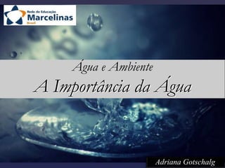 Água e Ambiente
A Importância da Água


                       Adriana Gotschalg
 