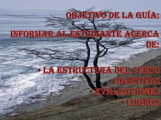 Objetivo de la guía:Informar al estudiante acerca de: La estructura del curso