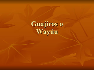 Guajiros o Wayúu 