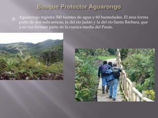  Aguarongo registra 300 fuentes de agua y 60 humedades. El área forma
  parte de dos subcuencas, la del río Jadán y la del río Santa Bárbara, que
  a su vez forman parte de la cuenca media del Paute.
 