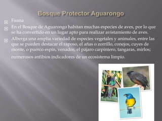  Fauna
 En el Bosque de Aguarongo habitan muchas especies de aves, por lo que
  se ha convertido en un lugar apto para realizar avistamiento de aves.
 Alberga una amplia variedad de especies vegetales y animales, entre las
  que se pueden destacar el raposo, el añas o zorrillo, conejos, cuyes de
  monte, o puerco espín, venados, el pájaro carpintero, tangaras, mirlos;
   numerosos anfibios indicadores de un ecosistema limpio.
 