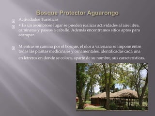  Actividades Turísticas
 • Es un asombroso lugar se pueden realizar actividades al aire libre,
  caminatas y paseos a caballo. Además encontramos sitios aptos para
  acampar.


 Mientras se camina por el bosque, el olor a valeriana se impone entre
  todas las plantas medicinales y ornamentales, identificadas cada una
   en letreros en donde se coloca, aparte de su nombre, sus características.
 