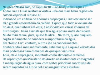 Na obra “Nosso Lar”, no capítulo 10 - no bosque das águas -,
André Luiz e Lísias relatam a visita a uma das mais belas regiões da
colônia espiritual Nosso Lar.
Indicando um edifício de enormes proporções, Lísias esclarece ser
ali o grande reservatório da colônia. Explica que todo o volume do
rio Azul, que tinham em vista, é absorvido em caixas imensas de
distribuição. Lísias assinala que lá a água possui outra densidade.
Muito mais tênue, pura, quase fluídica... Na Terra, quase ninguém
cogita seriamente de conhecer a importância da água.
Em "Nosso Lar", contudo, outros são os conhecimentos.
Conhecendo-a mais intimamente, sabemos que a água é veículo dos
mais poderosos para os fluídos de qualquer natureza.
Aqui, ela é empregada, sobretudo como alimento e remédio.
Há repartições no Ministério do Auxílio absolutamente consagradas
à manipulação de água pura, com certos princípios suscetíveis de
serem captados na luz do Sol e no magnetismo espiritual.
 