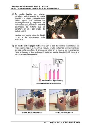 UNIVERSIDAD INCA GARCILASO DE LA VEGA
FACULTAD DE CIENCIAS FARMACÉUTICAS Y BIOQUÍMICA


 b) En medio líquido con pipeta:
    Introducir asépticamente la pipeta
    Pasteur o la pipeta graduada en el
    medio líquido que contiene los
    microorganismos y, aspirando de
    forma adecuada, sacar una cantidad
    establecida de material que se
    transfiere al tubo con medio de
    cultivo estéril.

    Incubar en estufa durante 24-48
    horas a la temperatura más
    adecuada.


 c) En medio sólido (agar inclinado): Con el asa de siembra estéril tomar los
    microorganismos de la muestra e inocular el tubo realizando un movimiento de
    zig-zag en la superficie. El proceso se inicia en el fondo y se va avanzando
    hacia arriba por el área inclinada. Incubar en estufa durante 28-48 horas a la
    temperatura más adecuada.




            TRIPLE AZUCAR HIERRO                    LISINA HIERRO AGAR




                                       60     Mg. Q.F. HÉCTOR VILCHEZ CÁCEDA
 