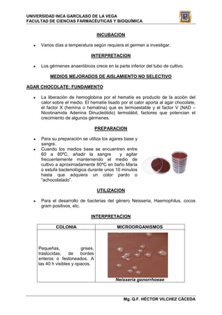 UNIVERSIDAD INCA GARCILASO DE LA VEGA
FACULTAD DE CIENCIAS FARMACÉUTICAS Y BIOQUÍMICA


                                      INCUBACION

  ►    Varios días a temperatura según requiera el germen a investigar.

                                 INTERPRETACION

  ►    Los gérmenes anaeróbicos crece en la parte inferior del tubo de cultivo.

            MEDIOS MEJORADOS DE AISLAMIENTO NO SELECTIVO

AGAR CHOCOLATE: FUNDAMENTO

  ►    La liberación de hemoglobina por el hematíe es producto de la acción del
       calor sobre el medio. El hematíe lisado por el calor aporta al agar chocolate,
       el factor X (hemina o hematina) que es termoestable y el factor V (NAD –
       Nicotinamida Adenina Dinucleótido) termolábil, factores que potencian el
       crecimiento de algunos gérmenes.

                                      PREPARACION

  ►    Para su preparación se utiliza los agares base y
       sangre.
  ►    Cuando los medios base se encuentren entre
       60 a 80ºC, añadir la sangre             y agitar
       frecuentemente manteniendo el medio de
       cultivo a aproximadamente 80ºC en baño María
       o estufa bacteriológica durante unos 10 minutos
       hasta que adquiera un color pardo o
       “achocolatado”.

                                      UTILIZACION

  ►    Para el desarrollo de bacterias del género Neisseria, Haemophilus, cocos
       gram positivos, etc.

                                 INTERPRETACION

               COLONIA                       MICROORGANISMOS



      Pequeñas,             grises,
      traslúcidas,    de    bordes
      enteros o festoneados. A
      las 40 h visibles y opacos.


                                             Neisseria gonorrhoeae



                                                Mg. Q.F. HÉCTOR VILCHEZ CÁCEDA
 