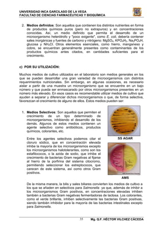 Guía Micro 2010-II