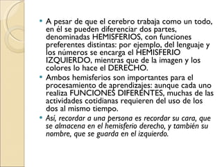 A pesar de que el cerebro trabaja como un todo, en él se pueden diferenciar dos partes, denominadas HEMISFERIOS, con funciones preferentes distintas: por ejemplo, del lenguaje y los números se encarga el HEMISFERIO IZQUIERDO, mientras que de la imagen y los colores lo hace el DERECHO.  Ambos hemisferios son importantes para el procesamiento de aprendizajes: aunque cada uno realiza FUNCIONES DIFERENTES, muchas de las actividades cotidianas requieren del uso de los dos al mismo tiempo.  Así, recordar a una persona es recordar su cara, que se almacena en el hemisferio derecho, y también su nombre, que se guarda en el izquierdo. 