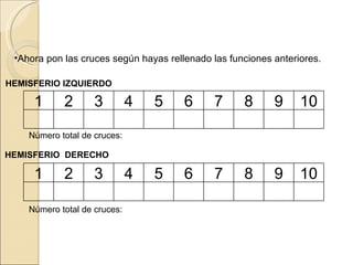 Ahora pon las cruces según hayas rellenado las funciones anteriores. HEMISFERIO IZQUIERDO Número total de cruces: HEMISFERIO  DERECHO Número total de cruces: 1 2 3 4 5 6 7 8 9 10 1 2 3 4 5 6 7 8 9 10 