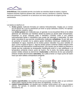 (hidrofóbicas). Esta propiedad permite a los lípidos ser extraídos desde los tejidos y órganos
mediante solventes orgánicos apolares (éter, benceno, bencina, cloroformo o acetona). Además,
no forman polímeros y presentan en su estructura una menor proporción de oxígeno que los
carbohidratos.
.
Los lípidos se clasifican en:
1. Ácidos grasos: moléculas formadas por cadenas hidrocarbonadas lineales con un número
par de átomos de C que se caracterizan por tener un grupo carboxílico (COOH). Por ejemplo,
ácido palmítico, esteárico, oleico.
Los ácidos grasos son moléculas que, en general, no se encuentran libres en la célula
debiendo ser obtenidos por hidrólisis desde los lípidos en donde están almacenados.
Presentan un grupo carboxilo polar e hidrofílico (-COOH) unido a una cadena
hidrocarbonada apolar e hidrofóbica (que puede ser saturada o insaturada). Es esta
doble naturaleza la que permite considerarlos moléculas anfipáticas. Es por ello que,
al aumentar el tamaño de la cadena apolar hidrofóbica disminuye notablemente su
solubilidad en agua, haciendo de los ácidos grasos naturales muy poco solubles en
agua. Como muestra la figura 7, algunos ácidos grasos contienen dobles enlaces entre
los carbonos del hidrocarburo (insaturaciones), que causan que la cadena se flexione e
impide que las moléculas se empaqueten fuertemente entre sí y que solidifiquen a la
temperatura ambiente (menor punto de fusión). Por lo tanto, los ácidos grasos que
poseen dobles enlaces se denominan insaturados a diferencia de los que presentan
enlaces simples denominados saturados, los cuales al tener un mayor punto de fusión
hace que sean sólidos a temperatura ambiente
2. Lípidos saponificables: son aquellos con los que se puede fabricar jabón ya que contienen
ácidos grasos. Ejemplo de ellos son las ceras, los triglicéridos, la colina, etc.
3. Lípidos insaponificables: son aquellos que no poseen ácidos grasos, por lo que no originan
jabones. Por ejemplo, el colesterol, ácidos biliares, hormonas sexuales (progesterona y
testosterona), etc.
 