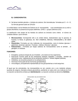 B) CARBOHIDRATOS:
 Se llaman también glúcidos o hidratos de carbono. Son biomoléculas formadas por C – H – O.
Su fórmula general suele ser (CH2O)n
La unidad básica de los Hidratos de Carbono es el monosacárido, cuya característica es su unión a
grupos alcohólicos, la presencia de grupos aldehídos (CHO) o grupos cetónicos (CO).
La clasificación más simple de los hidratos de carbono es tomando como criterio el número de
unidades básicas que lo forman:
• Monosacáridos: Corresponde sólo a la unidad básica, destacándose aquí la glucosa, la
fructosa, la ribosa, la galactosa, etc. Son cristalinos, blancos, hidrosolubles y de sabor
dulce.
• Disacáridos: Formados por dos moléculas de monosacáridos, como la lactosa (glucosa +
galactosa), sacarosa ( glucosa + fructosa) , maltosa ( Glucosa + glucosa).
• Polisacáridos : Formados por largas cadenas de monosacáridos como el almidón , el
glicógeno, la celulosa.
FUNCIONES:
 Energética: produce energía de uso inmediato y de reserva en los organismos.
 Estructural: Forman parte de las membranas celulares vegetales y animales, también de
estructuras como caparazones de los artrópodos (quitina) o corteza vegetal (celulosa).
 Antibiótica: se encuentra presente en la estreptomicina.
 Hormonal: forma parte de las hormonas gonadotróficas.
 Inmunológica: principalmente representada por las glucoproteínas a nivel sanguíneo.
Al igual que los aminoácidos, los monosacáridos se van uniendo uno a uno mediante enlaces,
(puentes de oxígeno), llamados enlaces glucosídicos, perdiendo en cada unión una molécula de H2O.
La reacción se denomina síntesis por deshidratación. La reacción contraria se denomina hidrólisis.
 