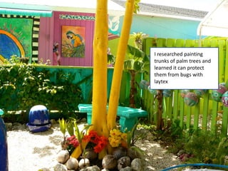 I researched painting
trunks of palm trees and
learned it can protect
them from bugs with
latex paint.
 
