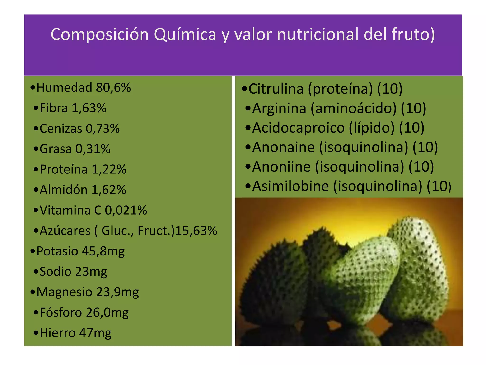 Composición Química y valor nutricional del fruto)
•Humedad 80,6%
•Fibra 1,63%
•Cenizas 0,73%
•Grasa 0,31%
•Proteína 1,22%
•Almidón 1,62%
•Vitamina C 0,021%
•Azúcares ( Gluc., Fruct.)15,63%
•Potasio 45,8mg
•Sodio 23mg
•Magnesio 23,9mg
•Fósforo 26,0mg
•Hierro 47mg
•Citrulina (proteína) (10)
•Arginina (aminoácido) (10)
•Acidocaproico (lípido) (10)
•Anonaine (isoquinolina) (10)
•Anoniine (isoquinolina) (10)
•Asimilobine (isoquinolina) (10)
 
