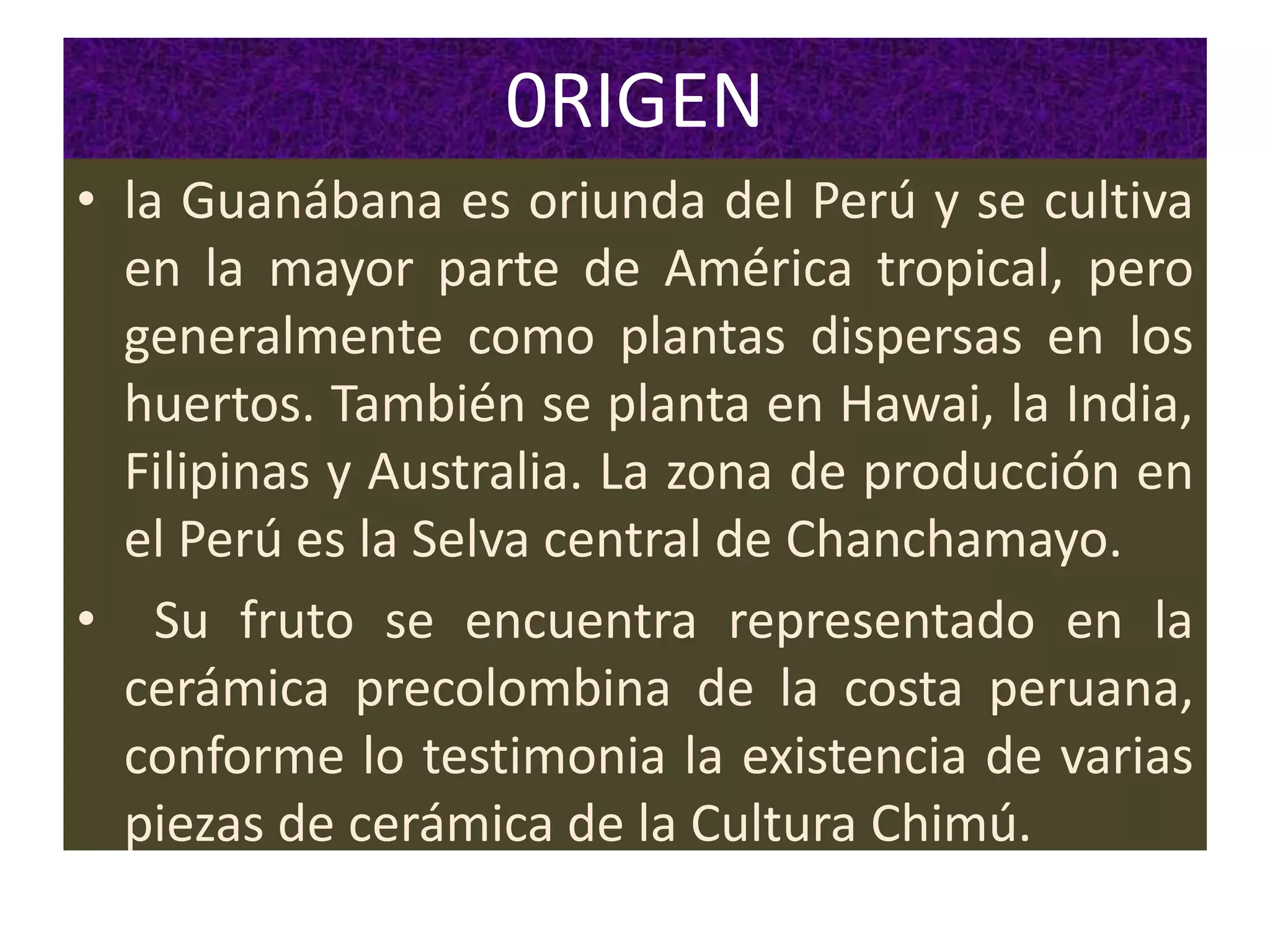 0RIGEN
• la Guanábana es oriunda del Perú y se cultiva
en la mayor parte de América tropical, pero
generalmente como plantas dispersas en los
huertos. También se planta en Hawai, la India,
Filipinas y Australia. La zona de producción en
el Perú es la Selva central de Chanchamayo.
• Su fruto se encuentra representado en la
cerámica precolombina de la costa peruana,
conforme lo testimonia la existencia de varias
piezas de cerámica de la Cultura Chimú.
 