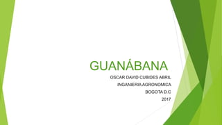 GUANÁBANA
OSCAR DAVID CUBIDES ABRIL
INGANIERIA AGRONOMICA
BOGOTA D.C
2017
 