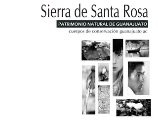 PATRIMONIO NATURAL DE GUANAJUATO
cuerpos de conservación guanajuato ac
Sierra de Santa Rosa
 