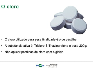 O cloro
• O cloro utilizado para essa finalidade é o de pastilha;
• A substância ativa é: Tricloro-S-Triazina triona e pesa 200g;
• Não aplicar pastilhas de cloro com algicida.
 