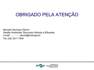 OBRIGADO PELA ATENÇÃO
Marcelo Henrique Otenio
Gestão Ambiental, Recursos Hídricos e Efluentes
e-mail: marcelo.otenio@embrapa.br
Tel. (32) 3311 7404
 