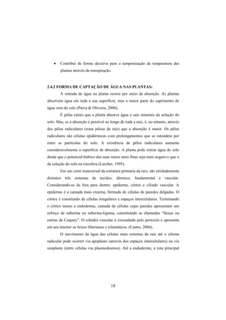 18
• Contribui de forma decisiva para a tamponização da temperatura das
plantas através da transpiração.
2.4.2 FORMA DE CAPTAÇÃO DE ÁGUA NAS PLANTAS:
A entrada de água na planta ocorre por meio da absorção. As plantas
absorvem água em toda a sua superficie, mas a maior parte do suprimento de
água vem do solo (Paiva & Oliveira, 2006).
É pelas raízes que a planta absorve água e sais minerais da solução do
solo. Mas, se a absorção é possível ao longo de toda a raiz, é, no entanto, através
dos pêlos radiculares (zona pilosa da raiz) que a absorção é maior. Os pêlos
radiculares são células epidérmicas com prolongamentos que se estendem por
entre as partículas do solo. A existência de pêlos radiculares aumenta
consideravelmente a superfície de absorção. A planta pode retirar água do solo
desde que o potencial hídrico das suas raízes mais finas seja mais negativo que o
da solução do solo na rizosfera (Larcher, 1995).
Em um corte transversal da estrutura primaria da raiz, são nitidademente
distintos três sistemas de tecidos: dérmico, fundamental e vascular.
Considerando-se de fora para dentro: epiderme, córtex e cilindo vascular. A
epiderme é a camada mais externa, formada de células de paredes delgadas. O
córtex é constituído de células irregulares e espaços intercelulares. Terminando
o córtex temos a endoderme, camada de células cujas paredes apresentam um
reforço de suberina ou suberina-lignina, constituíndo as chamadas “faixas ou
estrias de Caspary”. O cilindro vascular é circundado pelo periciclo e apresenta
em seu interior os feixes liberianos e xilemáticos. (Castro, 2006).
O movimento da água das células mais externas da raiz até o xilema
radicular pode ocorrer via apoplasto (através dos espaços intercelulares) ou via
simplasto (entre células via plasmodesmos). Até a endoderme, a rota principal
 