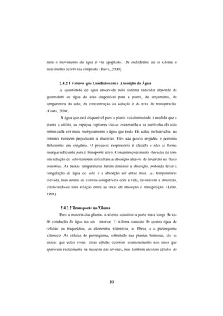 19
para o movimento da água é via apoplasto. Da endoderme até o xilema o
movimetno ocorre via simplasto (Paiva, 2000).
2.4.2.1 Fatores que Condicionam a Absorção de Água
A quantidade de água absorvida pelo sistema radicular depende da
quantidade de água do solo disponível para a planta, do arejamento, da
temperatura do solo, da concentração da solução e da taxa de transpiração.
(Costa, 2008).
A água que está disponível para a planta vai diminuindo à medida que a
planta a utiliza, os espaços capilares vão-se esvaziando e as partículas do solo
retêm cada vez mais energicamente a água que resta. Os solos encharcados, no
entanto, também prejudicam a absorção. Eles são pouco arejados e portanto
deficientes em oxigênio. O processo respiratório é afetado e não se forma
energia suficiente para o transporte ativo. Concentrações muito elevadas de íons
em solução do solo também dificultam a absorção através de inversão no fluxo
osmótico. As baixas temperaturas fazem diminuir a absorção, podendo levar à
congelação da água do solo e a absorção ser então nula. As temperaturas
elevada, mas dentro de valores compatíveis com a vida, favorecem a absorção,
verificando-se uma relação entre as taxas de absorção e transpiração. (Leite,
1998).
2.4.2.2 Transporte no Xilema
Para a maioria das plantas o xilema constitui a parte mais longa da via
de condução da água no seu interior. O xilema consiste de quatro tipos de
células: os traqueídios, os elementos xilémicos, as fibras, e o parênquima
xilémico. As células do parênquima, sobretudo nas plantas lenhosas, são as
únicas que estão vivas. Estas células ocorrem essencialmente nos raios que
aparecem radialmente na madeira das árvores, mas também existem células do
 