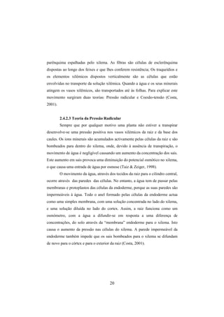 20
parênquima espalhadas pelo xilema. As fibras são células de esclerênquima
dispostas ao longo dos feixes e que lhes conferem resistência; Os traqueídios e
os elementos xilémicos dispostos verticalmente são as células que estão
envolvidas no transporte da solução xilémica. Quando a água e os seus minerais
atingem os vasos xilêmicos, são transportados até às folhas. Para explicar este
movimento surgiram duas teorias: Pressão radicular e Coesão-tensão (Costa,
2001).
2.4.2.3 Teoria da Pressão Radicular
Sempre que por qualquer motivo uma planta não estiver a transpirar
desenvolve-se uma pressão positiva nos vasos xilémicos da raiz e da base dos
caules. Os ions minerais são acumulados activamente pelas células da raiz e são
bombeados para dentro do xilema, onde, devido à ausência de transpiração, o
movimento de água é negligível causando um aumento da concentração dos sais.
Este aumento em sais provoca uma diminuição do potencial osmótico no xilema,
o que causa uma entrada de água por osmose (Taiz & Zeiger, 1998).
O movimento da água, através dos tecidos da raiz para o cilindro central,
ocorre através das paredes das células. No entanto, a água tem de passar pelas
membranas e protoplastos das células da endoderme, porque as suas paredes são
impermeáveis à água. Todo o anel formado pelas células da endoderme actua
como uma simples membrana, com uma solução concentrada no lado do xilema,
e uma solução diluída no lado do cortex. Assim, a raiz funciona como um
osmómetro, com a água a difundir-se em resposta a uma diferença de
concentrações, do solo através da “membrana” endoderme para o xilema. Isto
causa o aumento da pressão nas células do xilema. A parede impermeável da
endoderme também impede que os sais bombeados para o xilema se difundam
de novo para o córtex e para o exterior da raiz (Costa, 2001).
 