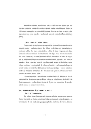 21
Quando se destaca, ao nível do solo, o caule de uma planta que não
esteja a transpirar, a superfície de corte exuda grande quantidade de fluido. Se
colocar um manómetro na extremidade cortada, observar-se-á que as raízes estão
a produzir uma certa pressão, é a chamada pressão radicular (Taiz & Zeiger,
1998).
2.4.2.4 Teoria da Coesão-Tensão
Nesta teoria, o movimento ascensional de soluto xilêmico explica-se do
seguinte modo: a planta, através das folhas, perde água por transpiração; o
conteúdo celular fica mais concentrado e a falta de água é reposta com água
vinda das células vizinhas. Eventualmente, esta água pode provir diretamente
dos vasos xilêmicos; as folhas passam a exercer uma tensão ou força de sucção
que se faz sentir ao longo da coluna de xilema do caule. Sujeitos a esta força de
sucção, a água e os sais minerais circulam desde a raiz até às folhas, numa
coluna contínua; a continuidade da coluna de liquido é explicada pelas forças de
coesão (união de moléculas idênticas) das moléculas de água e adesão (atração e
união de moléculas diferentes) das moléculas de água às paredes dos vasos
estreitos do xilema (Leite, 1998).
O que determina a ascensão de soluto xilêrmico é, portanto, a sucção
transpiratória, já demonstrada por Dixon e Joly no principio do século (1914).
Este mecanismo é conhecido por teoria de Dixon, por mecanismo de coesão-
adesão-tensão ou sucção transpiratória.
2.4.3 AS PERDAS DE ÁGUA PELA PLANTA:
2.4.3.1 A Transpiração:
De toda a água absorvida pelo sistema radicular apenas uma pequena
fração fica retida na planta. A maior parte é evaporada pela parte aérea para o ar
circundante. A esta perda de água pelas plantas, na forma de vapor, dá-se o
 