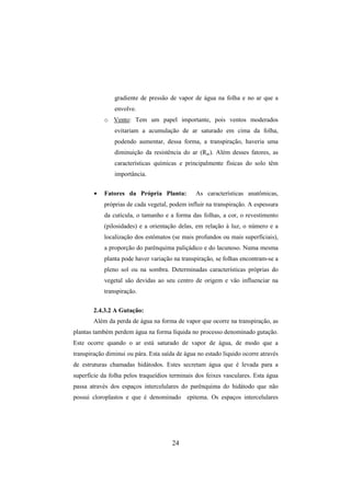 24
gradiente de pressão de vapor de água na folha e no ar que a
envolve.
o Vento: Tem um papel importante, pois ventos moderados
evitariam a acumulação de ar saturado em cima da folha,
podendo aumentar, dessa forma, a transpiração, haveria uma
diminuição da resistência do ar (Rar). Além desses fatores, as
características químicas e principalmente físicas do solo têm
importância.
• Fatores da Própria Planta: As características anatômicas,
próprias de cada vegetal, podem influir na transpiração. A espessura
da cutícula, o tamanho e a forma das folhas, a cor, o revestimento
(pilosidades) e a orientação delas, em relação à luz, o número e a
localização dos estômatos (se mais profundos ou mais superficiais),
a proporção do parênquima paliçádico e do lacunoso. Numa mesma
planta pode haver variação na transpiração, se folhas encontram-se a
pleno sol ou na sombra. Determinadas características próprias do
vegetal são devidas ao seu centro de origem e vão influenciar na
transpiração.
2.4.3.2 A Gutação:
Além da perda de água na forma de vapor que ocorre na transpiração, as
plantas também perdem água na forma líquida no processo denominado gutação.
Este ocorre quando o ar está saturado de vapor de água, de modo que a
transpiração diminui ou pára. Esta saída de água no estado líquido ocorre através
de estruturas chamadas hidátodos. Estes secretam água que é levada para a
superfície da folha pelos traqueídios terminais dos feixes vasculares. Esta água
passa através dos espaços intercelulares do parênquima do hidátodo que não
possui cloroplastos e que é denominado epitema. Os espaços intercelulares
 