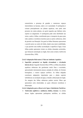 29
característica a presença de grandes e numerosos espaços
intercelulares ou lacunas, onde o ar é acumulado. O aerênquima é
comum principalmente em plantas aquáticas, mas pode estar
presente em outras plantas, em geral naquelas que habitam solos
sujeitos ao alagamento. O aerênquima pode estar distribuído nas
raízes, caules e folhas, contribuindo para o transporte de gases para
toda a planta e resistência mecânica para as partes submersas, além
de permitir sua flutuação. Em geral as folhas flutuantes apresentam
o pecíolo preso ao centro do limbo, dando uma maior estabilidade,
o que permite uma melhor acomodação à superfície d´água. Essas
folhas podem apresentar cristais ou células chamadas esclereídes,
que fornecem sustentação ao órgão, bem como evitam a herbivoria
(Scremin-Dias, 1999).
2.4.4.3 Adaptações Relevantes à Vida em Ambiente Aquático:
• Superfície permeável ao líquido circundante e circulação
interna do ar: Segundo Scremin-Dias (1999), as folhas das plantas
aquáticas submersas são geralmente muito finas e recortadas,
apresentando internamente poucas camadas de células, de formato
homogêneo, e muitos espaços aeríferos. As folhas delgadas
constituem adaptações importantes para a planta suportar
turbulências ou oscilações da água, evitando a dilaceração do órgão.
Na margem das folhas submersas podem ocorrer fibras que
apresentam certa elasticidade, as quais oferecem resistência à
dilaceração.
2.4.4.4 Adaptações para a Reserva de Água e Substâncias Nutritivas
• Tubérculos aqüíferos e amiláceos, bulbos, rizomas: As células
desses órgãos apresentam parênquima amilífero, as células
 