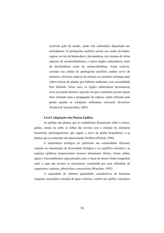 30
reservam grão de amido, sendo este carboidrato depositado nos
amiloplastos. O parênquima amilífero ocorre nos caules da batata-
inglesa, na raiz da batata-doce e da mandioca, nos rizomas de várias
espécies de monocotiledôneas, e outros órgãos subterrâneos, tanto
de dicotiledônea como de monocotiledônea. Essas reservas,
contidas nas células do parênquima amilífero, podem servir de
alimento a diversas espécies de animais ou constituir estratégia para
sobrevivência de plantas que habitam ambientes com sazonalidade
bem definida. Nesse caso, os órgãos subterrâneos permanecem
ricos em amido durante o período em que o ambiente possuir algum
fator limitante para a propagação da espécie, sendo utilizado pela
planta quando as condições ambientais estiverem favoráveis
(Scatena & Scremin-Dias, 2003).
2.4.4.5 Adaptações das Plantas Epífitas
As epífitas são plantas que se estabelecem diretamente sobre o tronco,
galhos, ramos ou sobre as folhas das árvores sem a emissão de estruturas
haustoriais (prolongamentos que sugam a seiva da planta hospedeira), e as
plantas que as sustentam são denominadas forófitos (Dislich, 1996).
A importância ecológica do epifitismo nas comunidades florestais
consiste na manutenção da diversidade biológica e no equilíbrio interativo: as
espécies epifíticas proporcionam recursos alimentares (frutos, néctar, pólen,
água) e microambientes especializados para a fauna do dossel (linha imaginária
onde a copa das árvores se encontram), constituída por uma infinidade de
organismos voadores, arborícolas e escansoriais (Waechter, 1992).
A capacidade de elaborar quantidades consideráveis de biomassa
suspensa, associada à retenção de água e detritos, confere aos epífitos vasculares
 