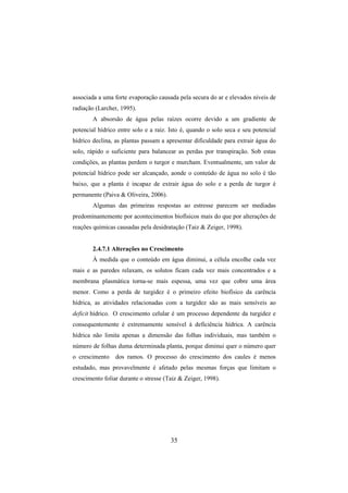 35
associada a uma forte evaporação causada pela secura do ar e elevados níveis de
radiação (Larcher, 1995).
A absorsão de água pelas raízes ocorre devido a um gradiente de
potencial hídrico entre solo e a raiz. Isto é, quando o solo seca e seu potencial
hídrico declina, as plantas passam a apresentar dificuldade para extrair água do
solo, rápido o suficiente para balancear as perdas por transpiração. Sob estas
condições, as plantas perdem o turgor e murcham. Eventualmente, um valor de
potencial hídrico pode ser alcançado, aonde o conteúdo de água no solo é tão
baixo, que a planta é incapaz de extrair água do solo e a perda de turgor é
permanente (Paiva & Oliveira, 2006).
Algumas das primeiras respostas ao estresse parecem ser mediadas
predominantemente por acontecimentos biofísicos mais do que por alterações de
reações químicas causadas pela desidratação (Taiz & Zeiger, 1998).
2.4.7.1 Alterações no Crescimento
À medida que o conteúdo em água diminui, a célula encolhe cada vez
mais e as paredes relaxam, os solutos ficam cada vez mais concentrados e a
membrana plasmática torna-se mais espessa, uma vez que cobre uma área
menor. Como a perda de turgidez é o primeiro efeito biofísico da carência
hídrica, as atividades relacionadas com a turgidez são as mais sensíveis ao
deficit hídrico. O crescimento celular é um processo dependente da turgidez e
consequentemente é extremamente sensível à deficiência hídrica. A carência
hídrica não limita apenas a dimensão das folhas individuais, mas também o
número de folhas duma determinada planta, porque diminui quer o número quer
o crescimento dos ramos. O processo do crescimento dos caules é menos
estudado, mas provavelmente é afetado pelas mesmas forças que limitam o
crescimento foliar durante o stresse (Taiz & Zeiger, 1998).
 
