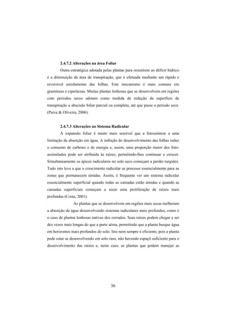 36
2.4.7.2 Alterações na área Foliar
Outra estratégica adotada pelas plantas para resistírem ao déficit hídrico
é a diminuição da área de transpiração, que é efetuada mediante um rápido e
reversível enrolamento das folhas. Este mecanismo é mais comuns em
gramíneas e ciperáceas. Muitas plantas lenhosas que se desenvolvem em regiões
com períodos secos adotam como medida de redução da superfície de
transpiração a abscisão foliar parcial ou completa, até que passe o período seco.
(Paiva & Oliveira, 2006).
2.4.7.3 Alterações no Sistema Radicular
A expansão foliar é muito mais sensível que a fotossíntese a uma
limitação da absorção em água. A inibição do desenvolvimento das folhas reduz
o consumo de carbono e de energia e, assim, uma proporção maior dos foto-
assimilados pode ser atribuída às raízes, permitindo-lhes continuar a crescer.
Simultaneamente os ápices radiculares no solo seco começam a perder turgidez.
Tudo isto leva a que o crescimento radicular se processe essencialmente para as
zonas que permanecem úmidas. Assim, é frequente ver um sistema radicular
essencialmente superficial quando todas as camadas estão úmidas e quando as
camadas superficiais começam a secar uma proliferação de raízes mais
profundas (Costa, 2001).
As plantas que se desenvolvem em regiões mais secas melhoram
a absorção de água desenvolvendo sistemas radiculares mais profundos, como é
o caso de plantas lenhosas nativas dos cerrados. Suas raízes podem chegar a ser
dez vezes mais longas do que a parte aérea, permitindo que a planta busque água
em horizontes mais profundos do solo. Isto nem sempre é eficiente, pois a planta
pode estar se desenvolvendo em solo raso, não havendo espaçõ suficiente para o
desenvolvimento das raízes e, neste caso, as plantas que podem manejar as
 