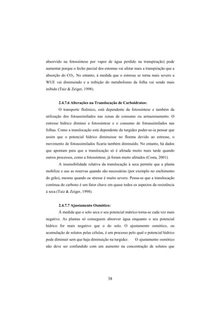 38
absorvido na fotossíntese por vapor de água perdido na transpiração) pode
aumentar porque o fecho parcial dos estomas vai afetar mais a transpiração que a
absorção do CO2. No entanto, à medida que o estresse se torna mais severo a
WUE vai diminuindo e a inibição do metabolismo da folha vai sendo mais
inibido (Taiz & Zeiger, 1998).
2.4.7.6 Alteraçôes na Translocação de Carboidratos:
O transporte floêmico, está dependente da fotossíntese e também da
utilização dos fotoassimilados nas zonas de consumo ou armazenamento. O
estresse hídrico diminui a fotossíntese e o consumo de fotoassimilados nas
folhas. Como a translocação está dependente da turgidez poder-se-ia pensar que
assim que o potencial hídrico diminuisse no floema devido ao estresse, o
movimento de fotoassimilados ficaria também diminuído. No entanto, há dados
que apontam para que a translocação só é afetada muito mais tarde quando
outros processos, como a fotossíntese, já foram muito afetados (Costa, 2001).
A insensibilidade relativa da translocação à seca permite que a planta
mobilize e use as reservas quando são necessárias (por exemplo no enchimento
do grão), mesmo quando oe stresse é muito severo. Pensa-se que a translocação
contínua do carbono é um fator chave em quase todos os aspectos da resistência
à seca (Taiz & Zeiger, 1998).
2.4.7.7 Ajustamento Osmótico:
Á medida que o solo seca o seu potencial mátrico torna-se cada vez mais
negativo. As plantas só conseguem absorver água enquanto o seu potencial
hídrico for mais negativo que o do solo. O ajustamento osmótico, ou
acumulação de solutos pelas células, é um processo pelo qual o potencial hídrico
pode diminuir sem que haja diminuição na turgidez. O ajustamento osmótico
não deve ser confundido com um aumento na concentração de solutos que
 