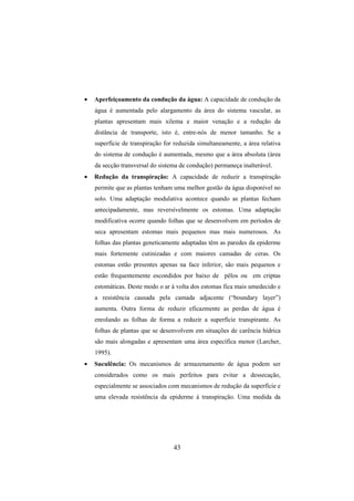 43
• Aperfeiçoamento da condução da água: A capacidade de condução da
água é aumentada pelo alargamento da área do sistema vascular, as
plantas apresentam mais xilema e maior venação e a redução da
distância de transporte, isto é, entre-nós de menor tamanho. Se a
superfície de transpiração for reduzida simultaneamente, a área relativa
do sistema de condução é aumentada, mesmo que a área absoluta (área
da secção transversal do sistema de condução) permaneça inalterável.
• Redução da transpiração: A capacidade de reduzir a transpiração
permite que as plantas tenham uma melhor gestão da água disponível no
solo. Uma adaptação modulativa acontece quando as plantas fecham
antecipadamente, mas reversívelmente os estomas. Uma adaptação
modificativa ocorre quando folhas que se desenvolvem em períodos de
seca apresentam estomas mais pequenos mas mais numerosos. As
folhas das plantas geneticamente adaptadas têm as paredes da epiderme
mais fortemente cutinizadas e com maiores camadas de ceras. Os
estomas estão presentes apenas na face inferior, são mais pequenos e
estão frequentemente escondidos por baixo de pêlos ou em criptas
estomáticas. Deste modo o ar à volta dos estomas fica mais umedecido e
a resistência causada pela camada adjacente (“boundary layer”)
aumenta. Outra forma de reduzir eficazmente as perdas de água é
enrolando as folhas de forma a reduzir a superfície transpirante. As
folhas de plantas que se desenvolvem em situações de carência hídrica
são mais alongadas e apresentam uma área específica menor (Larcher,
1995).
• Suculência: Os mecanismos de armazenamento de água podem ser
considerados como os mais perfeitos para evitar a dessecação,
especialmente se associados com mecanismos de redução da superfície e
uma elevada resistência da epiderme à transpiração. Uma medida da
 