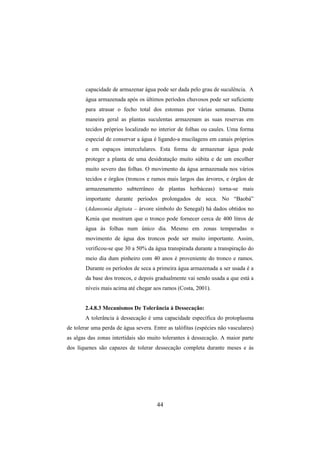 44
capacidade de armazenar água pode ser dada pelo grau de suculência. A
água armazenada após os últimos períodos chuvosos pode ser suficiente
para atrasar o fecho total dos estomas por várias semanas. Duma
maneira geral as plantas suculentas armazenam as suas reservas em
tecidos próprios localizado no interior de folhas ou caules. Uma forma
especial de conservar a água é ligando-a mucilagens em canais próprios
e em espaços intercelulares. Esta forma de armazenar água pode
proteger a planta de uma desidratação muito súbita e de um encolher
muito severo das folhas. O movimento da água armazenada nos vários
tecidos e órgãos (troncos e ramos mais largos das árvores, e órgãos de
armazenamento subterrâneo de plantas herbáceas) torna-se mais
importante durante períodos prolongados de seca. No “Baobá”
(Adansonia digitata – árvore símbolo do Senegal) há dados obtidos no
Kenia que mostram que o tronco pode fornecer cerca de 400 litros de
água às folhas num único dia. Mesmo em zonas temperadas o
movimento de água dos troncos pode ser muito importante. Assim,
verificou-se que 30 a 50% da água transpirada durante a transpiração do
meio dia dum pinheiro com 40 anos é proveniente do tronco e ramos.
Durante os períodos de seca a primeira água armazenada a ser usada é a
da base dos troncos, e depois gradualmente vai sendo usada a que está a
níveis mais acima até chegar aos ramos (Costa, 2001).
2.4.8.3 Mecanismos De Tolerância à Dessecação:
A tolerância à dessecação é uma capacidade específica do protoplasma
de tolerar uma perda de água severa. Entre as talófitas (espécies não vasculares)
as algas das zonas intertidais são muito tolerantes à dessecação. A maior parte
dos líquenes são capazes de tolerar dessecação completa durante meses e às
 