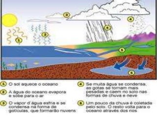 áGua na terra leticia