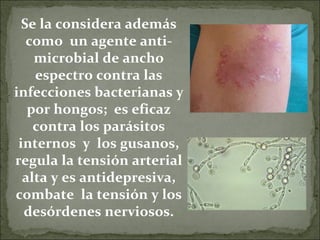 Se la considera además como  un agente anti-microbial de ancho espectro contra las infecciones bacterianas y por hongos;  es eficaz contra los parásitos internos  y  los gusanos, regula la tensión arterial alta y es antidepresiva, combate  la tensión y los desórdenes nerviosos. 