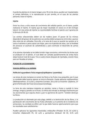 Cuando las plantas en el vivero tengan unos 70 cm de altura, pueden ser trasplantados
al campo definitivo, si la reproducción es por semilla; en el caso de las plantas
patrones, hacer el injerto.
Injerto
Entre los cinco y ocho meses de crecimiento del arbolito patrón, en el vivero, puede
realizarse el injerto. El injerto que da mejor resultado en anona es el del enchape
lateral. Un mes antes de injertar es recomendable fertilizar el patrón con 5 gramos de
la fórmula 10-30-10.
Las varetas seleccionadas deben ser de madera joven. El grosor de las mismas
dependerá del grosor de los patrones.Las varetas deben prepararse entre diez y quince
días antes de ser utilizadas. Para ello, a la rama de la que se sacarán las varetas se le
corta el extremo o yema apical con hojas, pero no el pecíolo de éstas, con la finalidad
de provocar el acúmulo de carbohidratos y para estimular el desarrollo de yemas
axilares.
A las plantas injertadas se les debe brindar riego constante y eliminarles los brotes que
se producen en el patrón, el cual debe ser cortado paulatinamente de arriba hacia
abajo hasta el nivel de la púa. Tres o cuatro meses después de injertadas, estarán listas
para ser llevadas al campo.
PLAGAS DE LA GUANABANA
Insectos dañinos y su combate
Polilla de la guanábana Tecla ortygnus(Lepidoptera: Lycaenidae)
Las larvas de esta mariposa se comen las flores y los frutos muy pequeños, por lo que
su combate debe hacerse apenas se inicia la floración. Puede aplicarse metilparathion
(Methilparathion, 15 cc/16 l), clorpirifos (Lorsban, 20 cc/16 l) o triclorfon (Dipterex, 37
g/16 l) Perforador del fruto Cerconotaannonellaspp.
La larva de esta mariposa oviposita en pecíolos, ramas y frutos y cuando la larva
emerge, emigra y penetra en el fruto. El orificio de entrada se distingue fácilmente por
los excrementos que expulsa afuera y por la apariencia de aserrín. También destruye
las flores.
La producción es diezmada por esta plaga, debido a la destrucción de las flores, a la
paralización del crecimiento de los frutos afectados y al aumento de la incidencia de
antracnosis. Su combate es difícil, por lo que debe hacerse oportunamente para que
los resultados sean satisfactorios.
Pueden aplicarse los siguientes insecticidas: endosulfan (Thiodan 35 CE, 32 cc/16 l),
triclorfon (Dipterex95 PS, 32 cc/l) y permetrina (Ambush 50 CE, 0,75 cc/l)
 