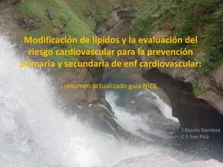 Modificación de lípidos y la evaluación del
riesgo cardiovascular para la prevención
primaria y secundaria de enf cardiovascular:
resumen actualizado guía NICE
J Rezola Gamboa
C S Son Pisà
 