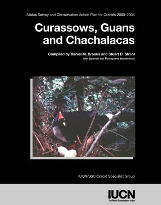 Status Survey and Conservation Action Plan for Cracids 2000–2004 
Curassows, Guans 
and Chachalacas 
Compiled by Daniel M. Brooks and Stuart D. Strahl 
with Spanish and Portuguese translations 
IUCN/SSC Cracid Specialist Group 
 
