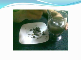 áGua – o solvente nelson e pedro