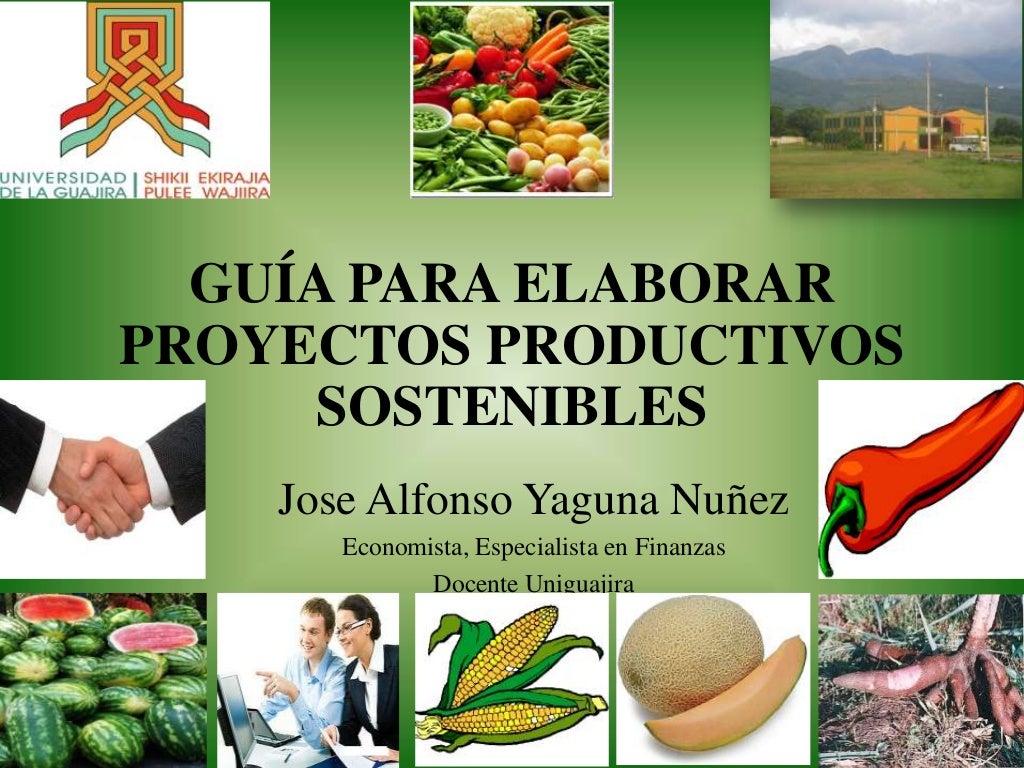 Guía para elaborar proyectos productivos sostenibles