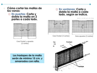  Cómo cortar las mallas de
los vanos:
 En puertas: Corta y
dobla la malla en 2
partes a cada lado.
 En ventanas: Corta y
dobla la malla a cada
lado, según se indica.
Los traslapes de la malla
serán de mínimo 15 cm. y
amarrados con rafia.
 