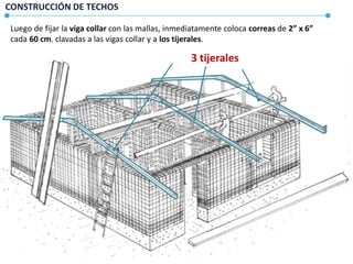 CONSTRUCCIÓN DE TECHOS
Luego de fijar la viga collar con las mallas, inmediatamente coloca correas de 2” x 6”
cada 60 cm. clavadas a las vigas collar y a los tijerales.
3 tijerales
 