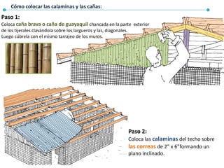 Cómo colocar las calaminas y las cañas:
Paso 1:
Coloca caña brava o caña de guayaquil chancada en la parte exterior
de los tijerales clavándola sobre los largueros y las, diagonales.
Luego cúbrela con el mismo tarrajeo de los muros.
Paso 2:
Coloca las calaminas del techo sobre
las correas de 2” x 6”formando un
plano inclinado.
 