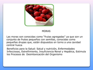 MORAS 
Las moras son conocidas como “frutas agregadas” ya que son un 
conjunto de frutos pequeños con semillas, conocidas como 
pequeñas drupas que, están dispuestos en torno a una cavidad 
central hueca 
Beneficios para la Salud: Salud y nutrición, Enfermedades 
Infecciosas, Estreñimiento, Insuficiencia Renal y Hepática, Estimula 
los Procesos de Desintoxicación del Organismo 
 