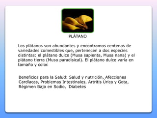 PLÁTANO 
Los plátanos son abundantes y encontramos centenas de 
variedades comestibles que, pertenecen a dos especies 
distintas: el plátano dulce (Musa sapienta, Musa nana) y el 
plátano tierra (Musa paradisical). El plátano dulce varía en 
tamaño y color. 
Beneficios para la Salud: Salud y nutrición, Afecciones 
Cardíacas, Problemas Intestinales, Artritis Úrica y Gota, 
Régimen Bajo en Sodio, Diabetes 
 