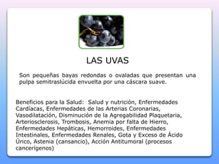LAS UVAS 
Son pequeñas bayas redondas o ovaladas que presentan una 
pulpa semitraslúcida envuelta por una cáscara suave. 
Beneficios para la Salud: Salud y nutrición, Enfermedades 
Cardíacas, Enfermedades de las Arterias Coronarias, 
Vasodilatación, Disminución de la Agregabilidad Plaquetaria, 
Arteriosclerosis, Trombosis, Anemia por falta de Hierro, 
Enfermedades Hepáticas, Hemorroides, Enfermedades 
Intestinales, Enfermedades Renales, Gota y Exceso de Ácido 
Úrico, Astenia (cansancio), Acción Antitumoral (procesos 
cancerígenos) 
 