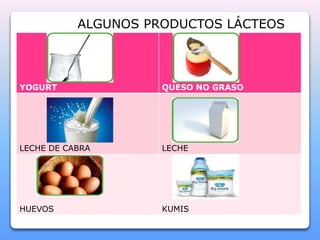 ALGUNOS PRODUCTOS LÁCTEOS 
YOGURT QUESO NO GRASO 
LECHE DE CABRA LECHE 
HUEVOS KUMIS 
 