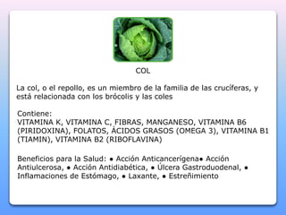 COL 
La col, o el repollo, es un miembro de la familia de las crucíferas, y 
está relacionada con los brócolis y las coles 
Contiene: 
VITAMINA K, VITAMINA C, FIBRAS, MANGANESO, VITAMINA B6 
(PIRIDOXINA), FOLATOS, ÁCIDOS GRASOS (OMEGA 3), VITAMINA B1 
(TIAMIN), VITAMINA B2 (RIBOFLAVINA) 
Beneficios para la Salud: ● Acción Anticancerígena● Acción 
Antiulcerosa, ● Acción Antidiabética, ● Úlcera Gastroduodenal, ● 
Inflamaciones de Estómago, ● Laxante, ● Estreñimiento 
 